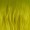Alice Wig Alice Through the Looking Glass - Neon Yellow
